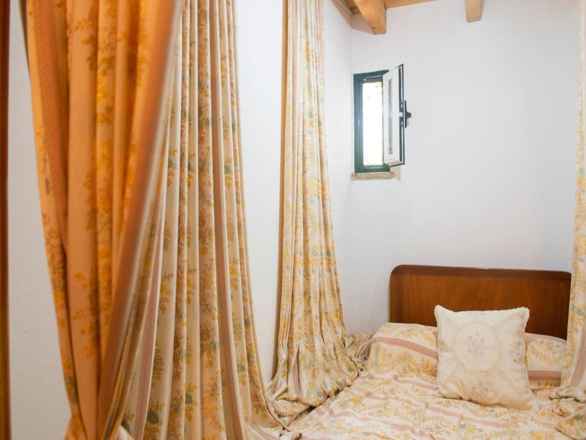 House With Authentic Tiling And Antique Furniture Montemor-o-Novo Exterior foto